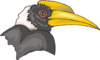 Hornbill Head Clip Art